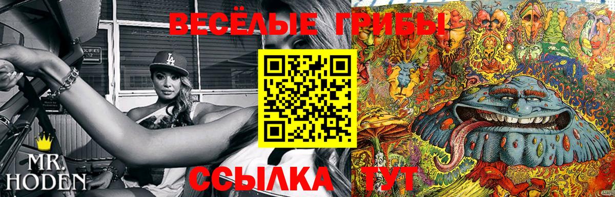 Псилоцибиновые грибы Cubensis Фролово