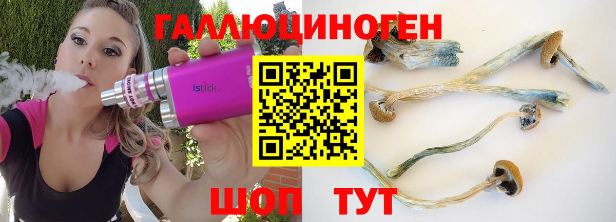 Псилоцибиновые грибы мицелий  Вход с VPN  Фролово  Псилоцибиновые грибы Magic Shrooms 