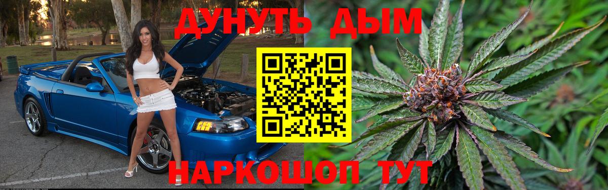 Бошки марихуана планчик  Шишки марихуана конопля  Фролово  Вход с VPN  Конопля Bruce Banner 